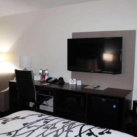 Wingate By Wyndham Kings Bay Naval Base I-95 Hotell Kingsland Eksteriør bilde